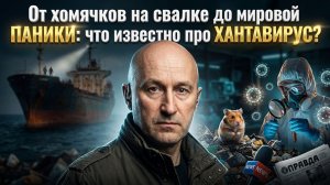 От хомячков на свалке до мировой паники: что известно про хантавирус?
