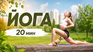 ЙОГА 20 мин | Растяжка, тонус мышц | Dakira Yoga