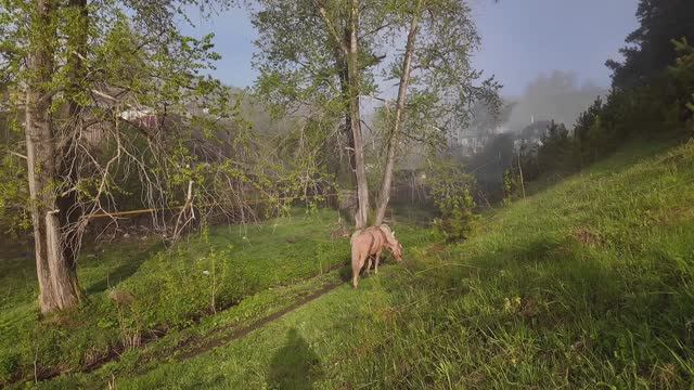 Ранним утром. Белорецк. Башкортостан.