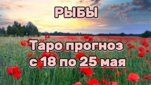 РЫБЫ 💕 таро прогноз с 18 по 25 мая! #таро #любовь #раскладтаро