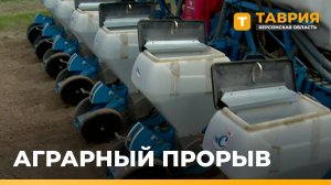 В Чонгаре аграрии делают ставку на засухоустойчивый подсолнечник «Валькирия»