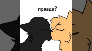 моя новая пара чит опис