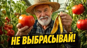 Перестаньте класть банановую кожуру в лунку! Делайте так