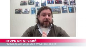 2026.04.02_Земляника садовая_Георгий Исаков_часть 1_trimmed