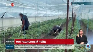 Миграционный рейд