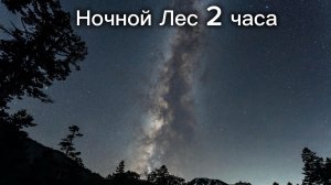 Ночной лес - звуки природы для сна🌲Звезды, сверчки и ветер ( 2часа )