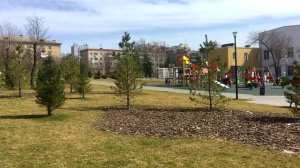 Начало #Волгоград  #Центральный_район  #весна  #лучшее   #музыка