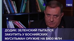 Додик: Зеленский пытался закупить у боснийских мусульман оружие на 400 млн долларов