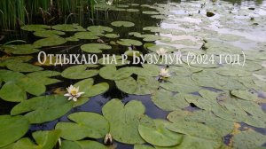 Наслаждаюсь природой на р. Бузулук (2024 год).