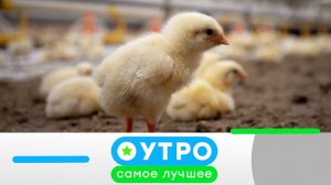 «Утро. Самое лучшее». 13 мая 2026 года