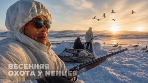 Весенняя охота у ненцев | С полем!