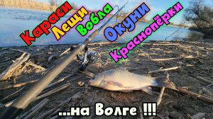 🐟Как в детстве: надёргали карасей, лещей, воблу, краснопёрок - на Волге. Михалыч в Астрахани !!!