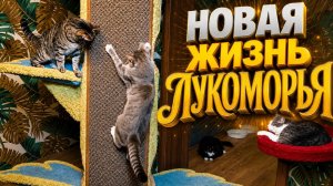 Новая жизнь Лукоморья.