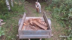 Копаю в лесу_Металл есть_Нашёл четыре погреба  #копметаллавлесу  #металлокоп