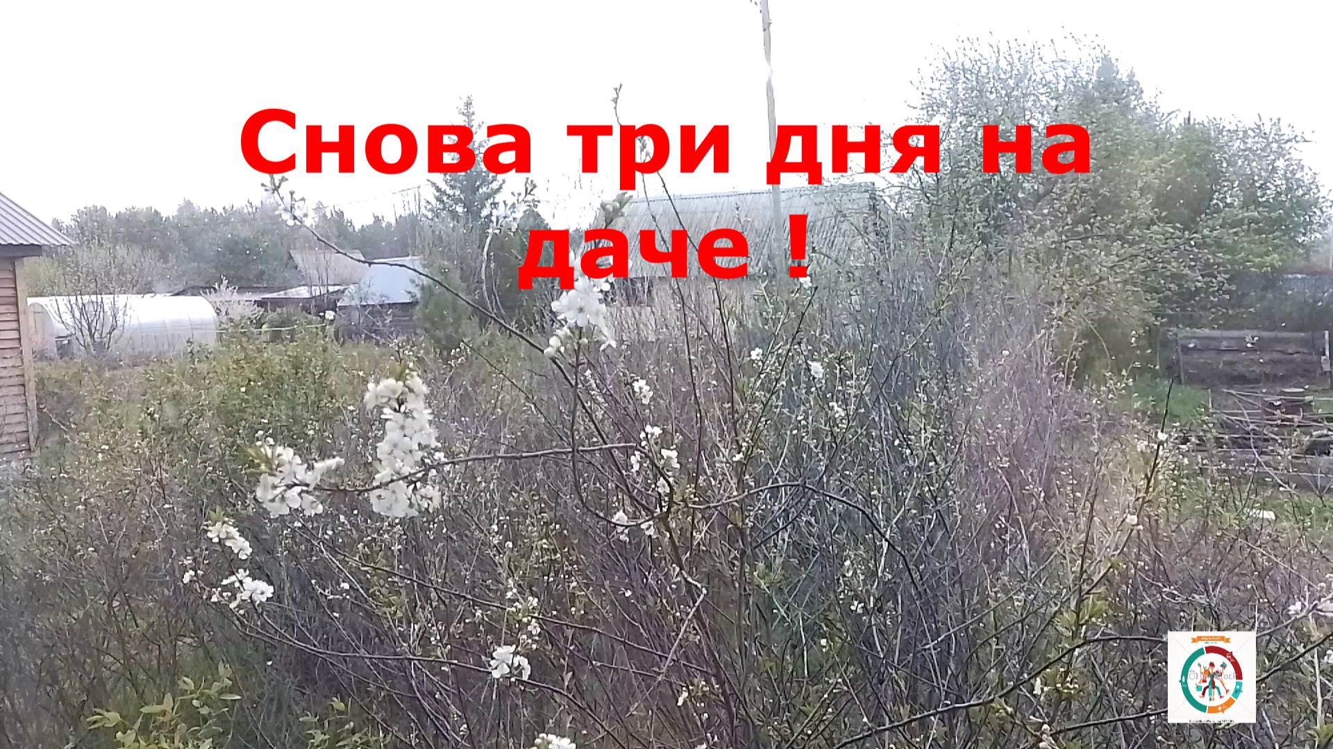 Снова три дня на даче в майские праздники.