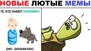 Лютые шортсы. Колыбельная, породы, кошек, УЧЁБА