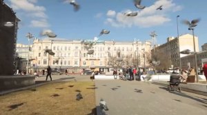 Анонс шоу «Чудо техники» 17.05.26, НТВ, 11:00