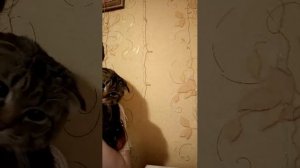 Кушаем и болтаем