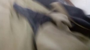 VID_20240929_122115.mp4