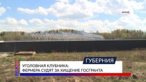 Уголовная клубника: фермера судят за хищение госгранта