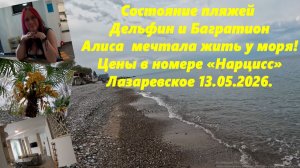 Состояние пляжей  Дельфин и Багратион! Цена номера Нарцисс. Мечта Алисы сбылась! Лазаревское 2026.