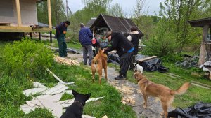 Соловьиные трели, отъезд в Москву и трудовые достижения