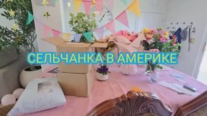 Сельчанка в Америке ПРЕОБРАЖАЮ ДОМ НОВИНКИ В КОСТКО