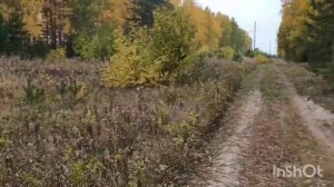 Воскресный день в деревне🥰. село. Архив.