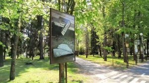 Прогулка по парку Победы 13.05.26.