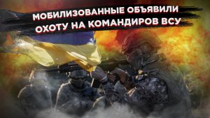 ВСУ расстреливают своих и добивают раненых: Сумское направление превратилось в братскую могилу