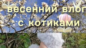 весенний влог что случилось с Асей 🙀
