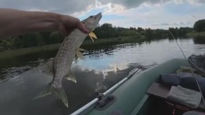 ВОДА КИПИТ И ОКУНИ РАЗРЫВАЮТ ПОППЕР! Попал под ливень, но рыбалка удалась!