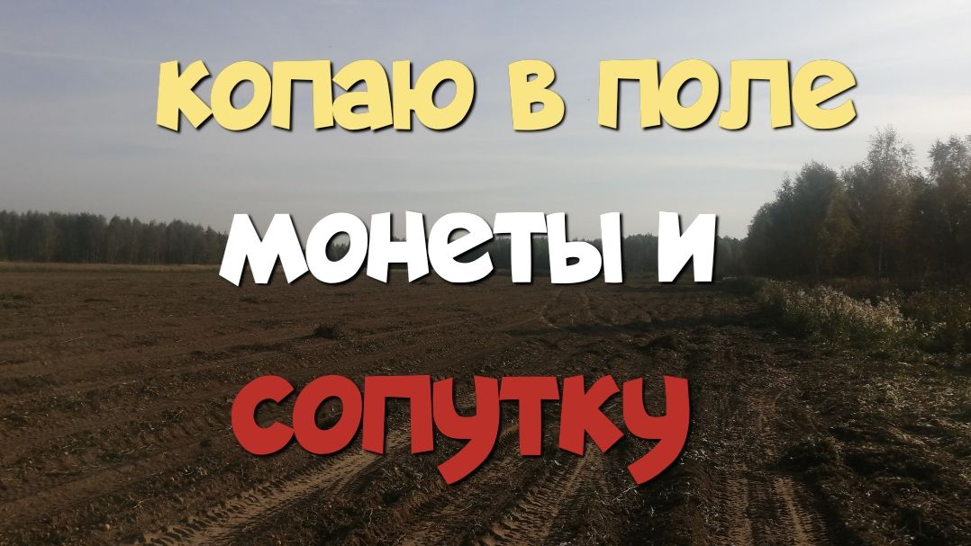 КОПАЮ В ПОЛЕ МОНЕТЫ И СОПУТКУ. ПОИСК СТАРИНЫ С ЭКВИНОКС 800.