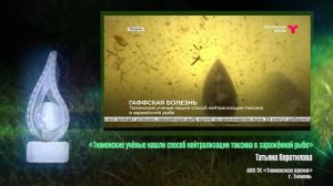 Капля воды-2024