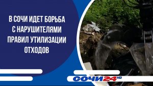В Сочи идет борьба с нарушителями правил утилизации отходов