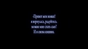 -Я вернулась!