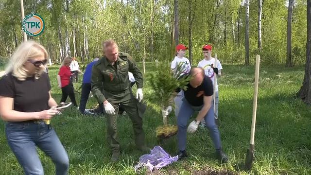 «Сад Победы»: в городском парке высадили 25 ёлочек смотреть онлайн