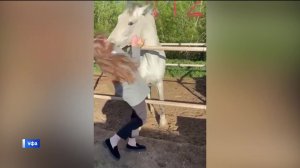 Лошадь укусила уфимку за шею