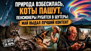 27 крыс за ночь, радужное облако и звёздный душ: май-2026 ломает реальность