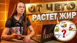 От чего реально растёт жир? Углеводы, жиры, сахар или переедание?