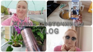 Жизнь цветочницы🌸 Купила стильные очки 😁 Скучаю по старым подписчикам 😢