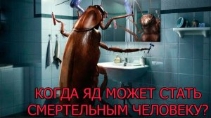Когда яд может стать смертельным человеку?