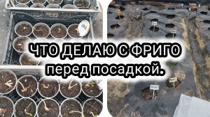Что делаю с фриго перед посадкой