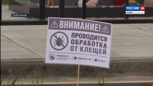 В Сыктывкаре обработали от клещей Верхнечовское кладбище
