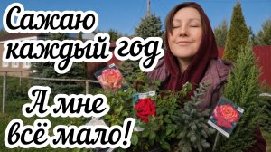 Решила скупить весь питомник!🙈  Работы в саду с каждым годом все больше 🤪🌱