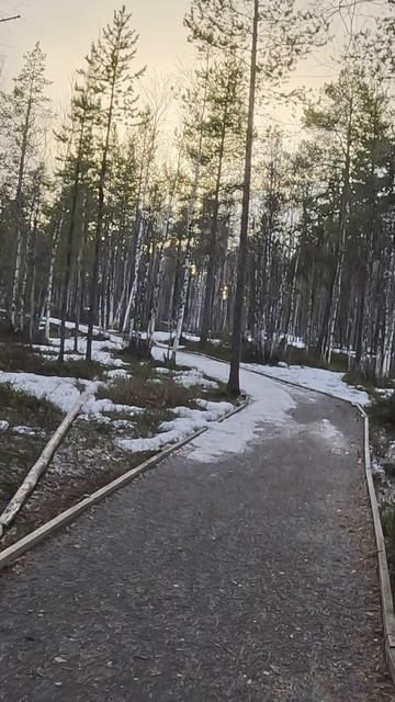 Яркое солнце весной