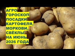 Июнь 2026: Самые Лучшие Дни для Посадки Картофеля, Моркови, Свёклы?!