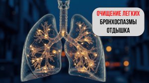 Матрица для лёгких 🌬️ — дыхание, очищение бронхов и помощь при туберкулёзе и заболеваниях лёгких