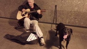Батька Атаман Свин - Андрей Панов 🎸 Yamaha Иван Соколов и Пёс 🐕 Чибо Моя Жизнь Кино 🎬 Музей Псов