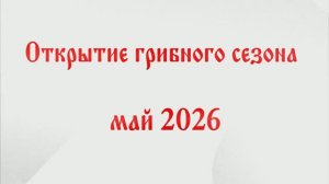 Открытие грибного сезона 2026